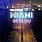 Miami Deja Vu artwork