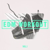 Edm Workout Vol. 1 (Instrumental Version) artwork