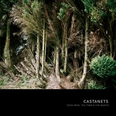Texas Rose, The Thaw and the Beasts - Castanets Texas Rose, The Thaw and the Beasts - Castanets
