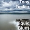 Back Down to the Blues - Tony Tucker lyrics