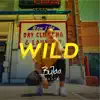 Wild (Instrumental) - Single album lyrics, reviews, download