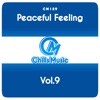 Peaceful Feeling, Vol.9