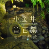 Chirping Insects of Autumn - Relaxation Landscape Sound in the Original State in Japan (Musashino Park Sound Scapes) artwork