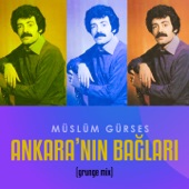 Ankara'nın Bağları (Grunge Mix) artwork