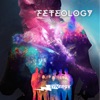 Feteology