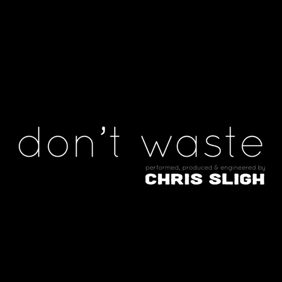 Cover artwork for Don't Waste