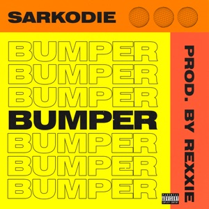 Bumper - Single