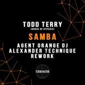 Samba (feat. House of Gypsies) [Agent Orange DJ & Alexander Technique Rework] artwork