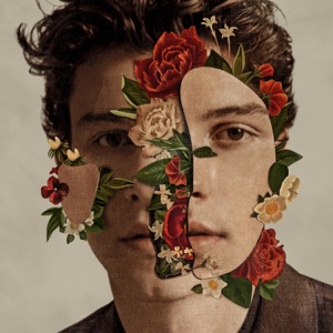 Shawn Mendes - Fallin' All in You - 排舞 音樂
