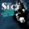 Forever Seventeen 1986-1988, 2019