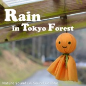 Rain in Tokyo Forest artwork