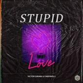 Stupid Love artwork