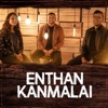 Enthan Kanmalai (feat. Prakruthi Angelina & Derick Samuel) - Single