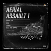 Aerial Assault 1 artwork