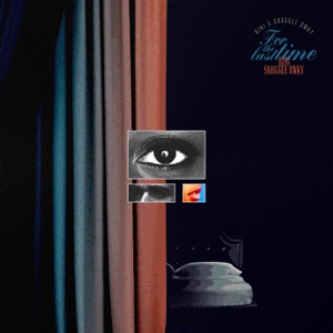 For the Last Time (feat. Snaggle Owky) - Single