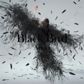 Aimer - 思い出は奇麗で