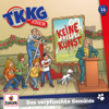 Folge 13: Das verpfuschte Gemälde - TKKG Junior