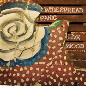 Widespread Panic - Many Rivers to Cross (Live)