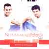 Neththara Project 4
