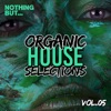 Prime Audial - Home Grown