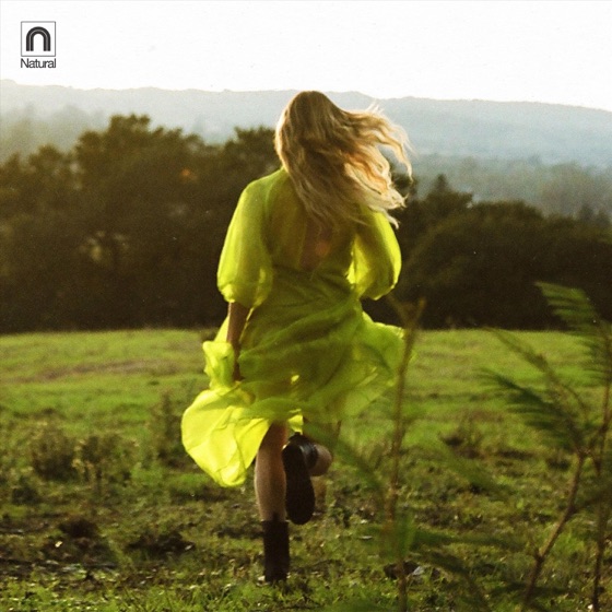 Cover artwork for Young on the Mountain
