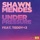 Shawn Mendes-Under Pressure (feat. teddy<3)
