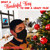 What a Wonderful Way to End a Crazy Year - David Archuleta