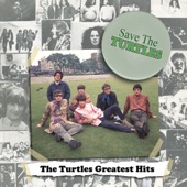 The Turtles - Me About You