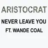 Never Leave You (feat. Wande Coal) - Single album lyrics, reviews, download