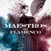 Maestros del Flamenco artwork