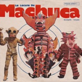 La Locura de Machuca (1975-1980) artwork