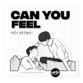 Can You Feel (From "Why R U The Series") artwork
