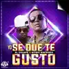 Stream & download Yo Se Que Te Gusto - Single