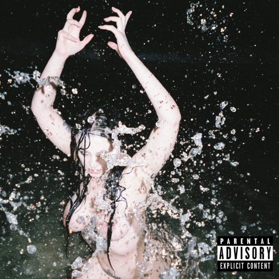 Cover artwork for Skin Walker