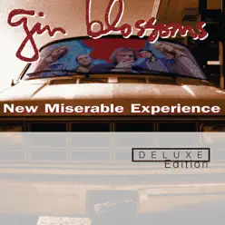 New Miserable Experience (Deluxe Edition) - Gin Blossoms