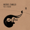 Voz E Violão - António Zambujo