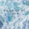 Amor de Mi Vida - Single