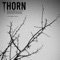 Thorn (feat. Kizzie) - J.Lee The Producer lyrics