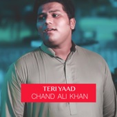 Teri Yaad artwork