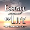 Essence of Minimal Life-For Comfortable Time artwork