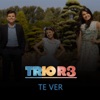 Te Ver - Single