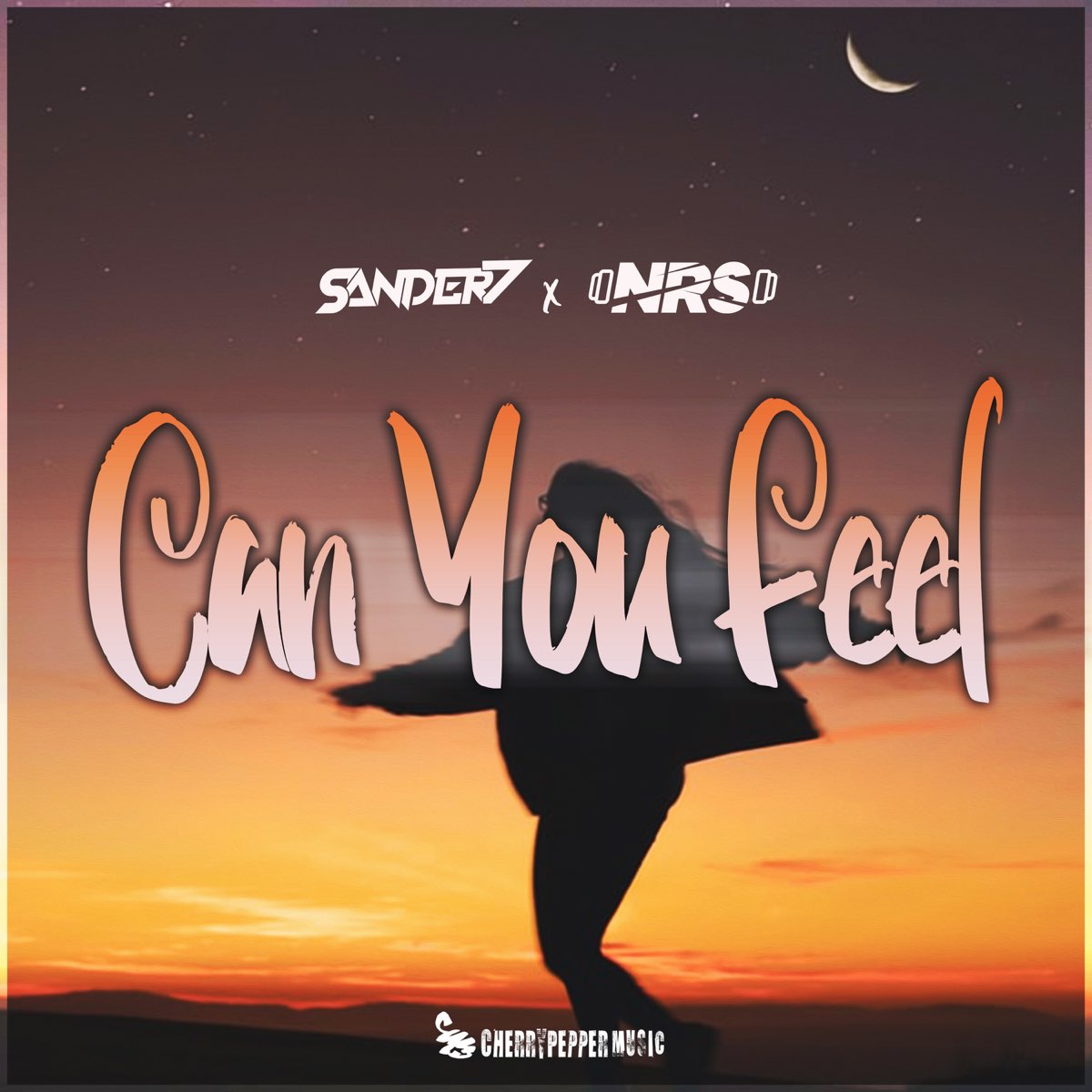 Can You Feel - Single" von Sander-7 & N.R.S. bei Apple Music