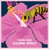 Tierra Firme - Single