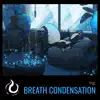 Breath Condensation - Single album lyrics, reviews, download