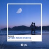 Lovers Never Ending - Single