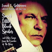 Sweet Little Black Spider and Other Songs from the Trenches of the Blues artwork