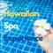 Happy Ukulele - Hawaiian Spa Music Relaxation Meditation Ukulele Club lyrics
