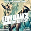 EDM Dance Anthems XL 2020: The Pure Sound of Subsonic Clubland, 2020