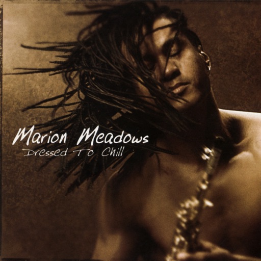 Art for Dressed To Chill by Marion Meadows