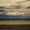 François Lemonnier & Raphaël Lemonnier - Lady Ga
